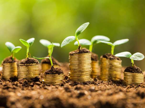 Cluster, Financieel Economisch Management, euromunten, plantjes, duurzaam