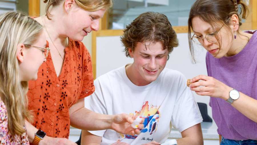 Eén docent en drie studenten onderzoeken samen stenen in het lab.