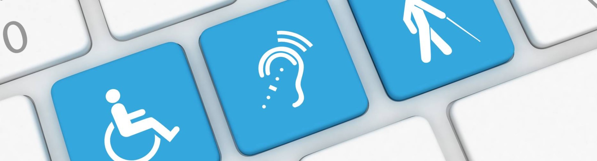 Voor nieuwsbericht afbeelding e-module digitale toegankelijkheid