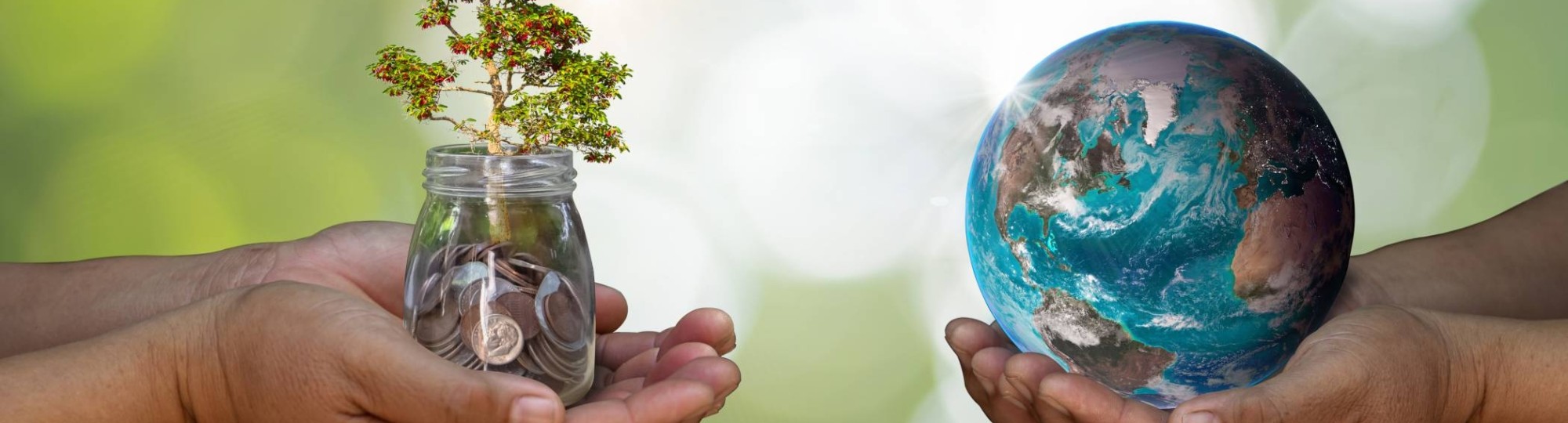 handen met wereldbol en glas met geld en-plant