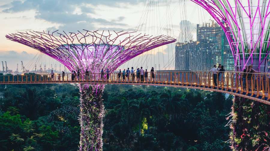 Smart Region Supertree Kunstmatig boom park industrie toekomst innovatie. Altijd fotograaf vermelden