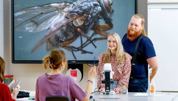 Twee studenten staan samen voor de klas. Op het digibord staat een vlieg geprojecteerd.