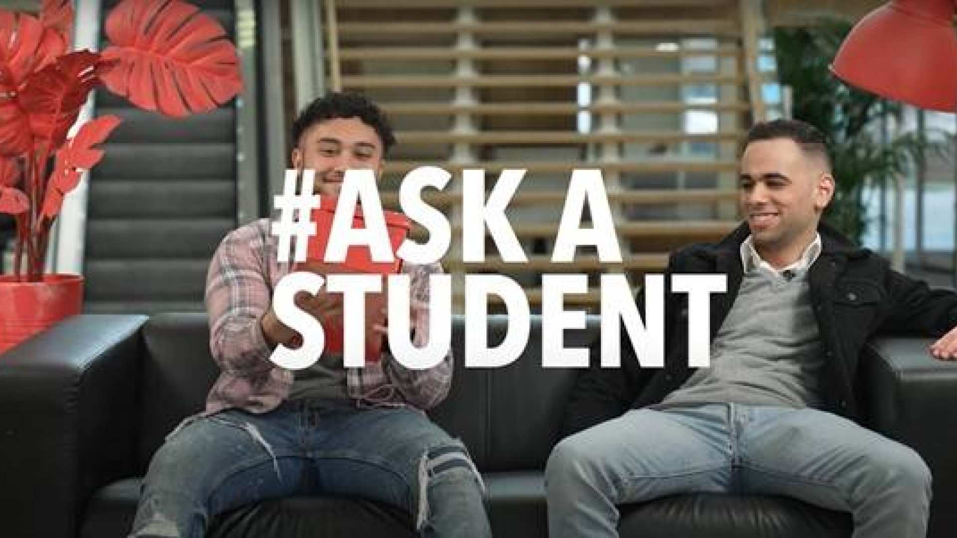 Studenten vertellen over de sfeer bij HBO-Rechten