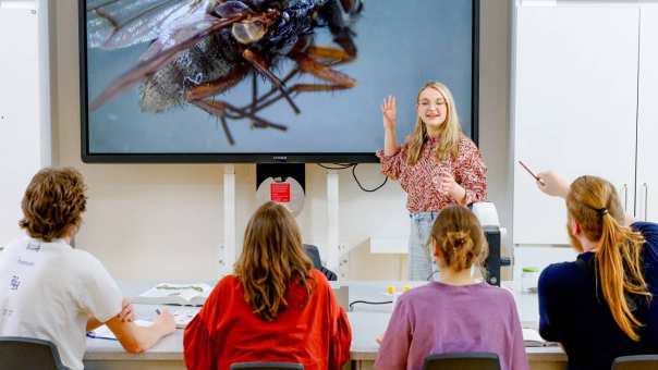 Studente Leraar Biologie staat voor de klas met op het digibord een grote vlieg afgebeeld. Haar medestudenten zitten voor haar.