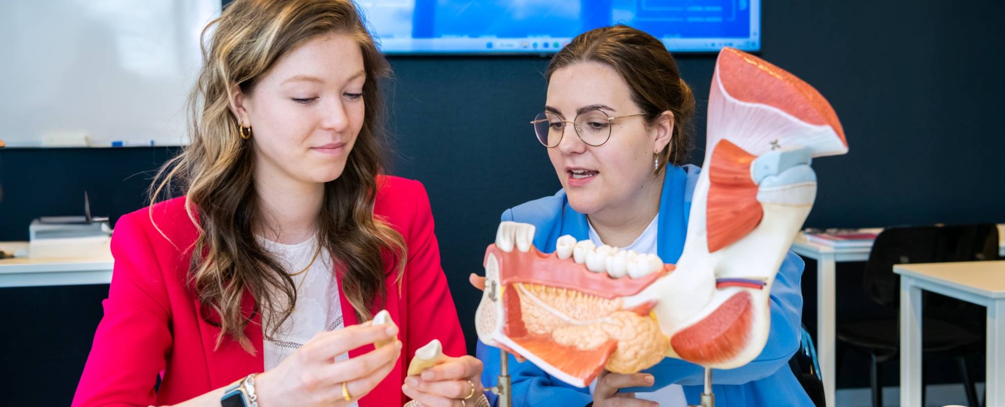 2 studenten zitten aan een tafel en kijken samen naar een anatomiemodel van de mond.