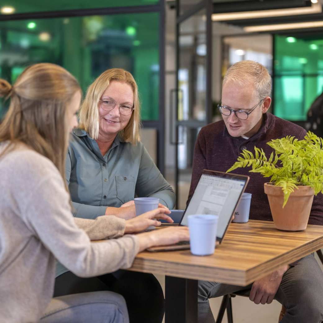 3 studenten zitten in een café te werken met een laptop. Groene achtergrond.