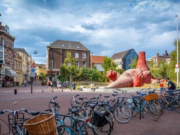 Arnhem stad beeld van aardvarken en fietsen