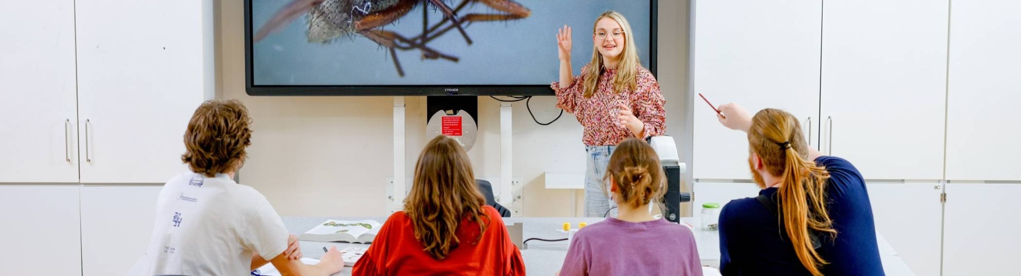 Studente Leraar Biologie staat voor de klas met op het digibord een grote vlieg afgebeeld. Haar medestudenten zitten voor haar.