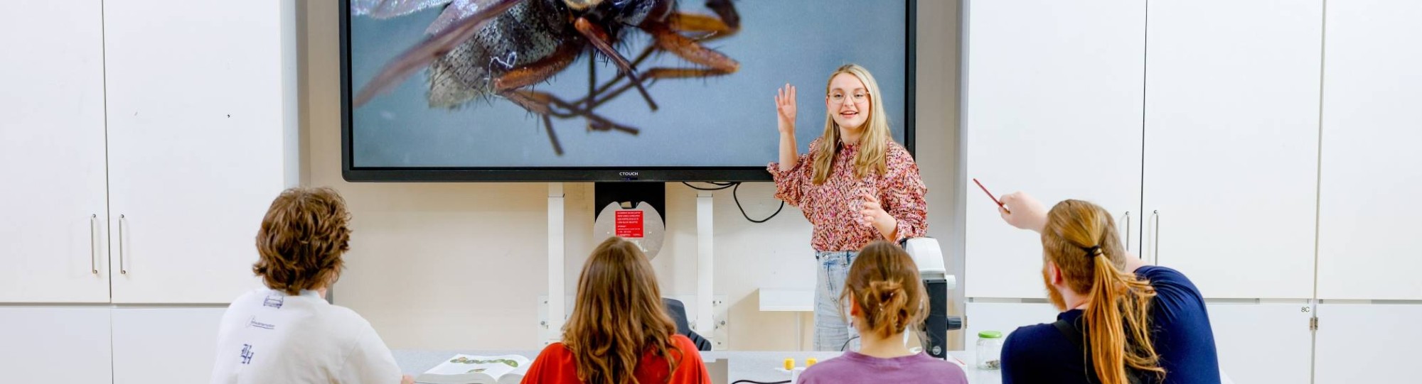 Studente Leraar Biologie staat voor de klas met op het digibord een grote vlieg afgebeeld. Haar medestudenten zitten voor haar.