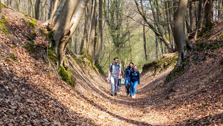 Biologie studenten wandelen door het bos