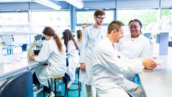 docenten en studenten overleggen in het lab