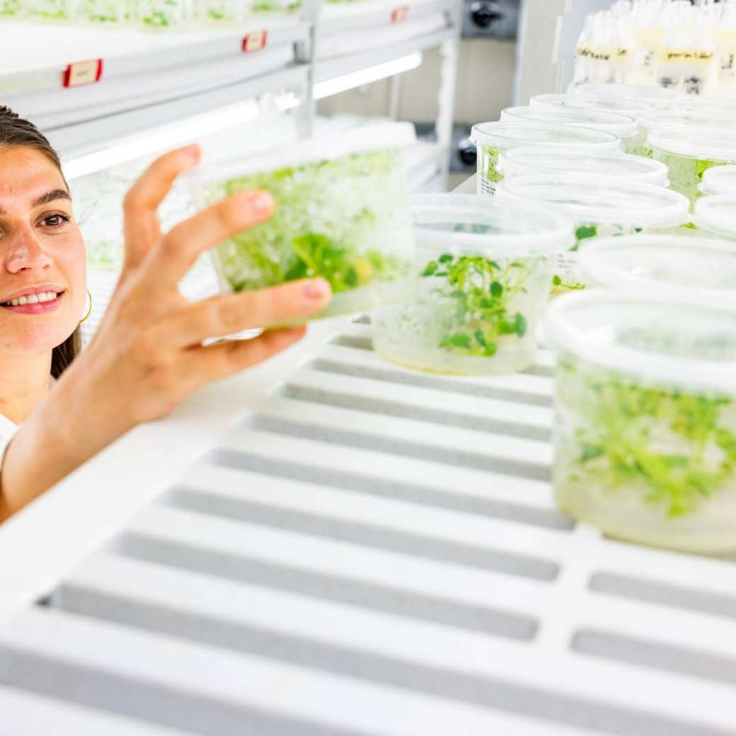 Student Nora in de plantencel 