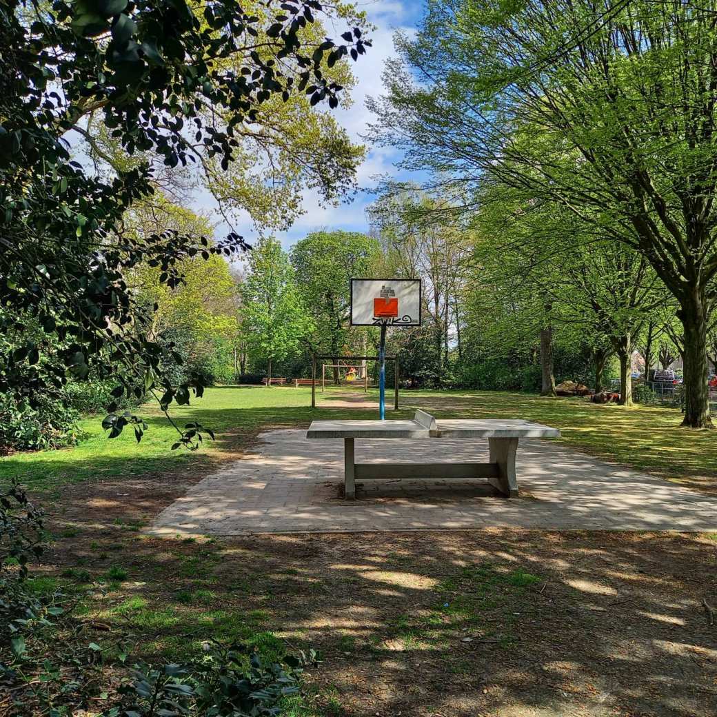 Basketbalveld 