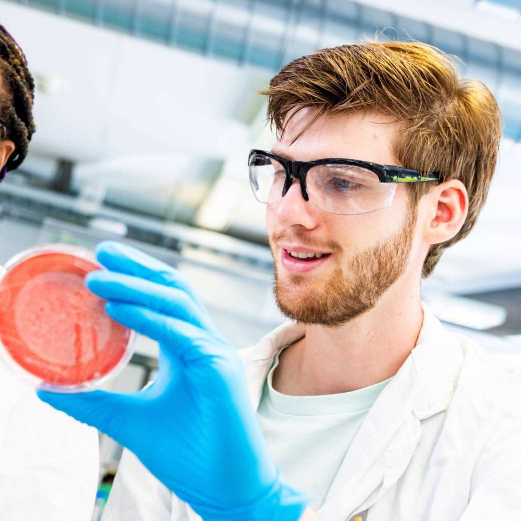 studenten aan het werk met een petrischaaltje