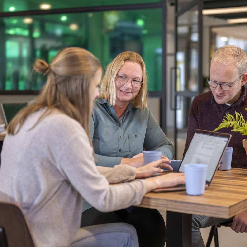 3 studenten zitten in een café te werken met een laptop. Groene achtergrond.