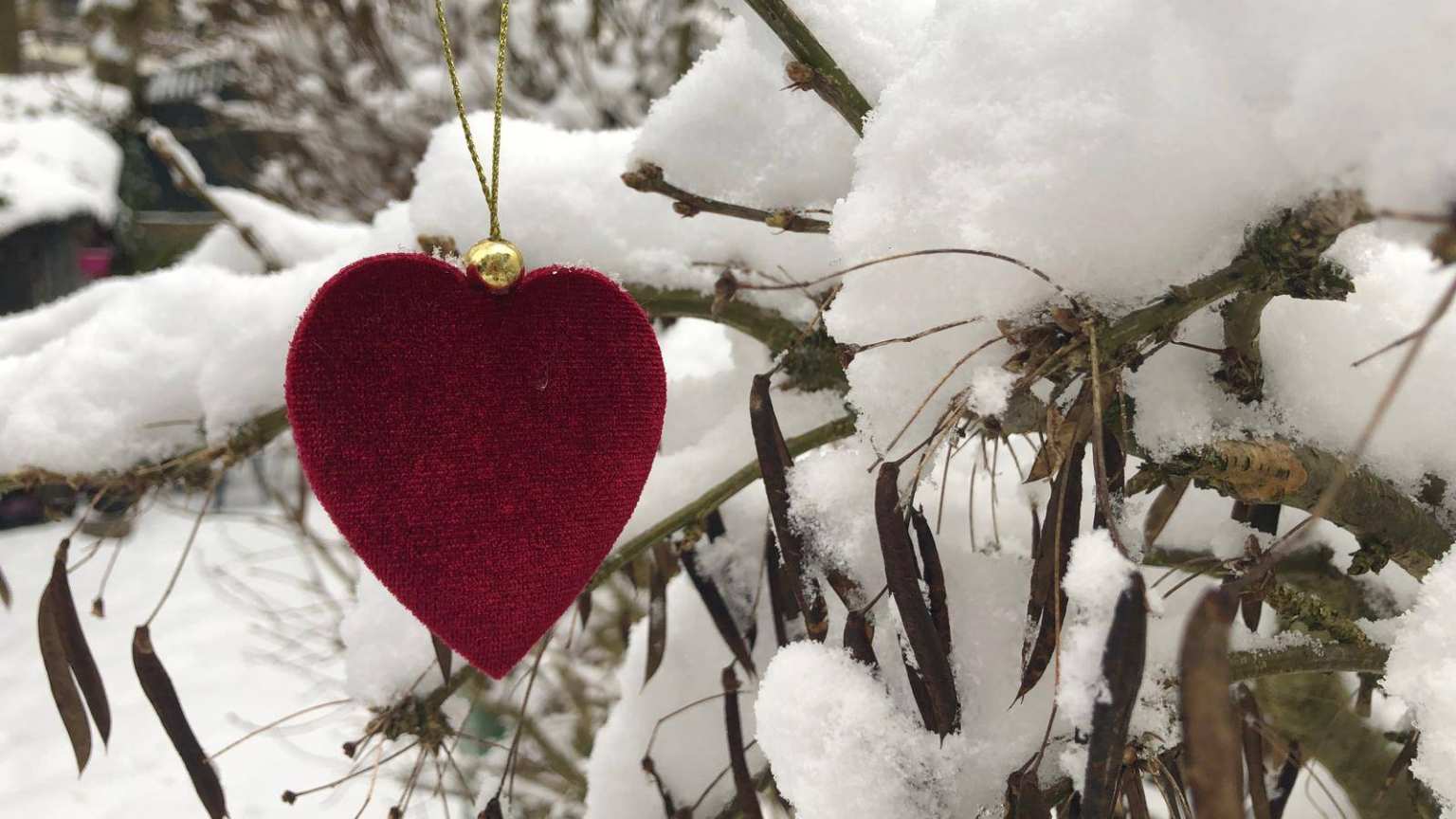 Een foto van een rood hart in de sneeuw