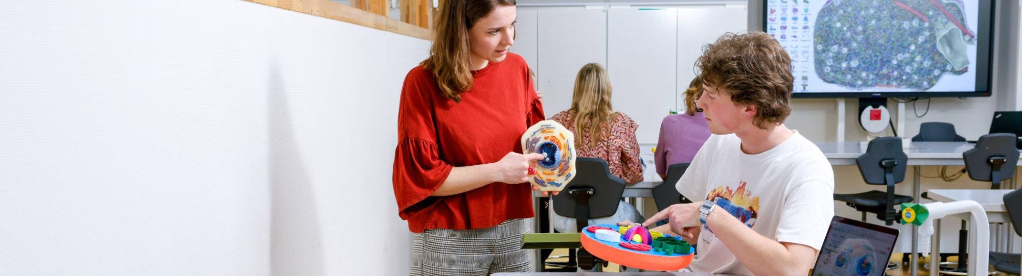 Twee studenten zijn met grote cellen bezig en overleggen.