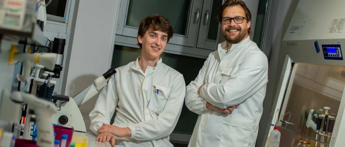 Bart Smeets en David van de Klashorst werken in HAN BioCentre aan het kweken van mini-niertjes om ziektes in de nieren mee te kunnen onderzoeken.