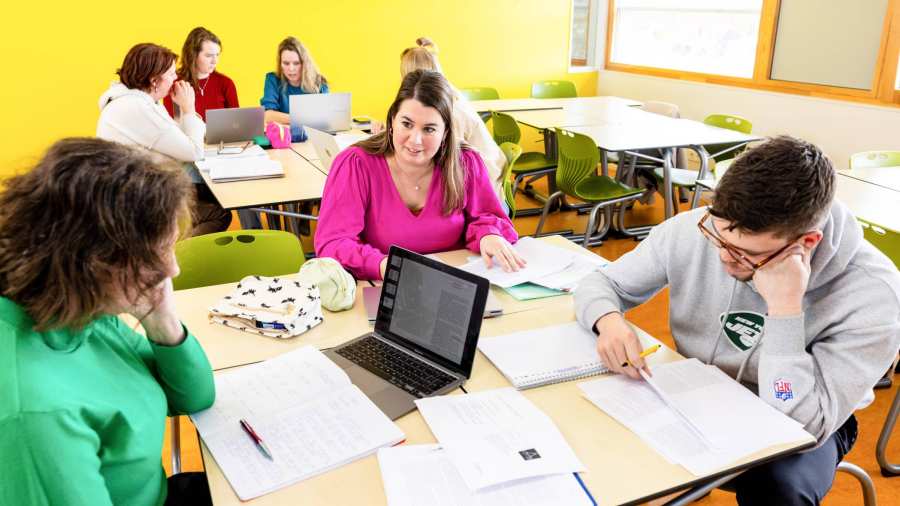 studenten en deelnemers meeloopdag samen aan het werk in lokaal ergotherapie