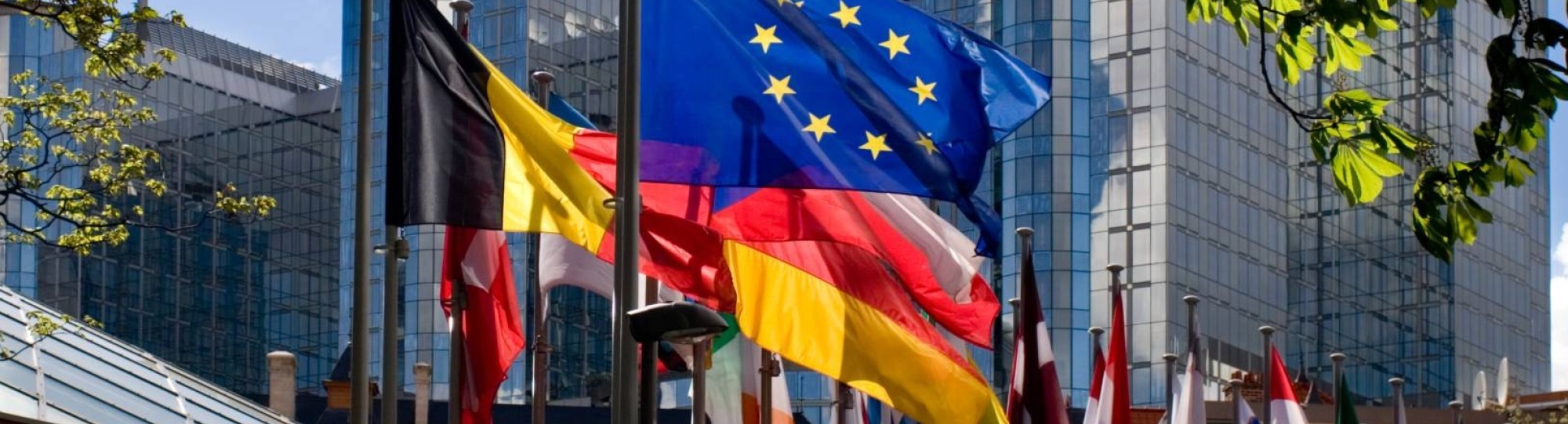 Europese vlag en andere vlaggen.