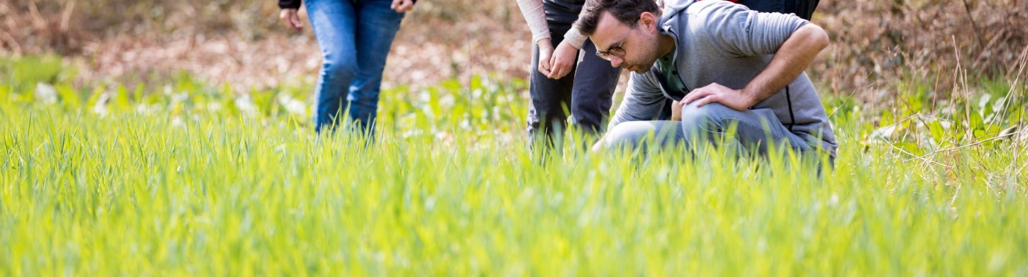 Biologie studenten en docenten kijken nieuwsgierig op het gras